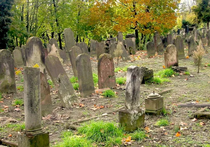 ©Micharthur 007, CC BY-SA 3.0 Wikimedia Commons