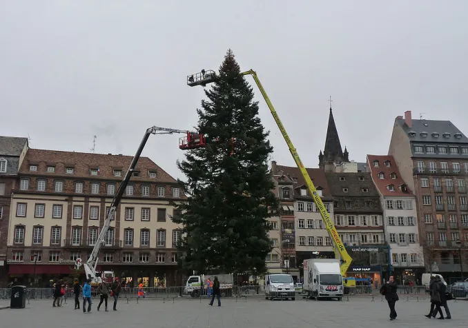 ©Ji-Elle, CC BY-SA 3.0 Wikimedia Commons