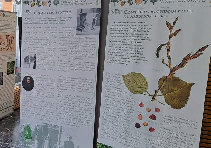 © Fédération française «Sur les pas des Huguenots et des Vaudois»