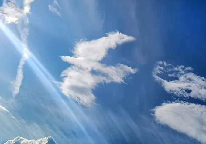 ©iStock/Roman Starchenko