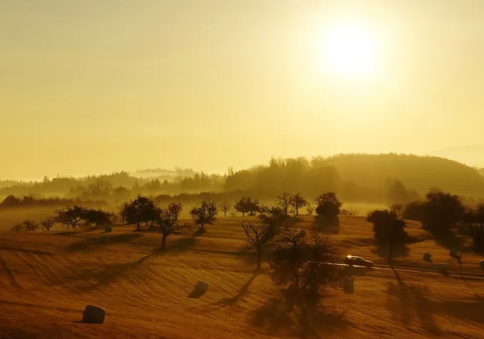 L'automne, encore des chances de réussite, ou bientôt la fin ?