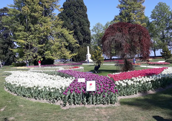 Fête des tulipes, Morges