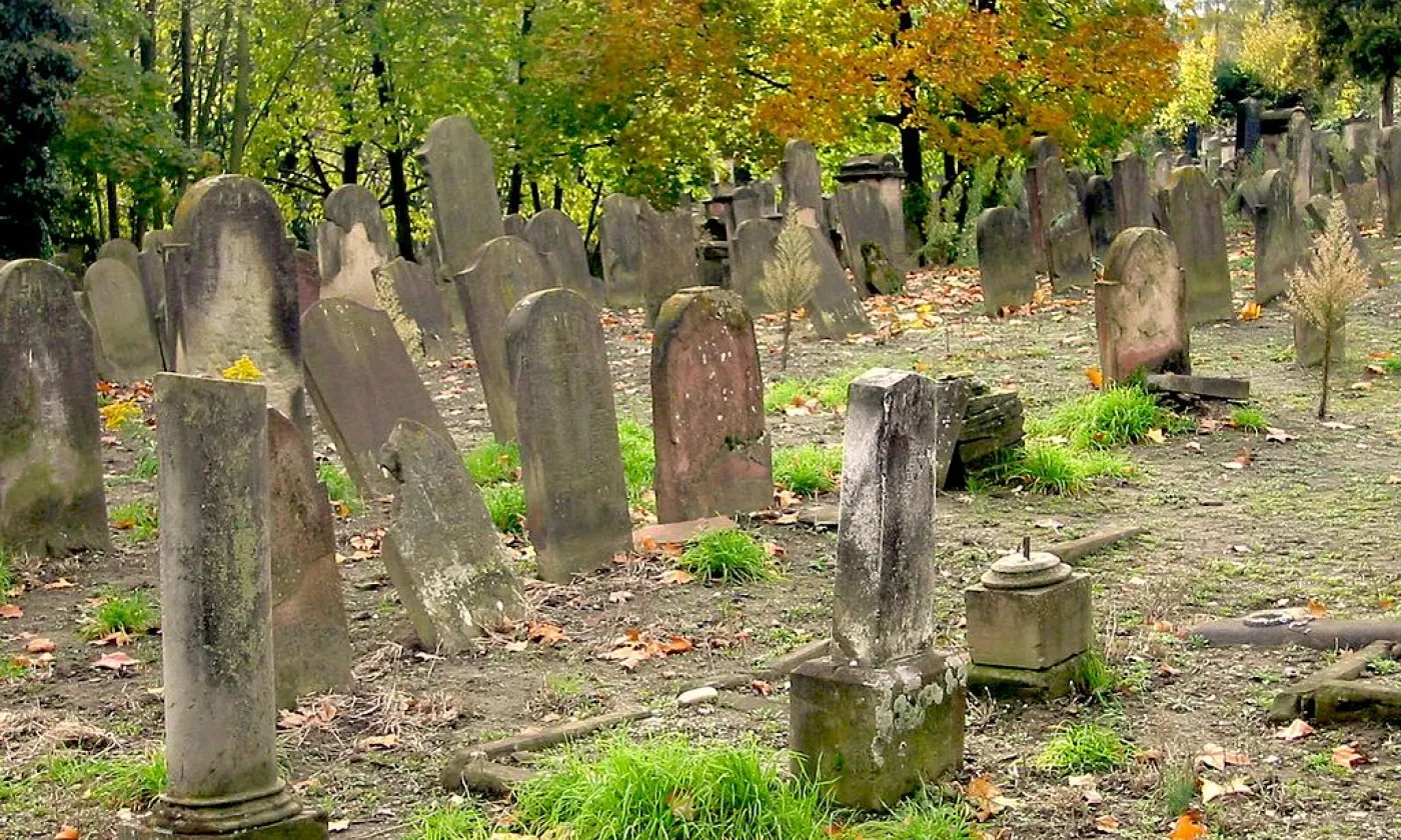 ©Micharthur 007, CC BY-SA 3.0 Wikimedia Commons