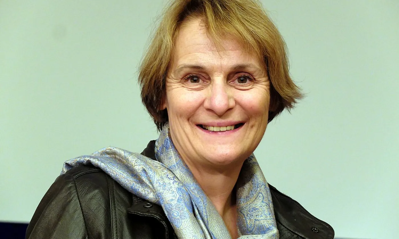 ©LaMèreVeille, CC BY-SA 4.0 Wikimedia Commons