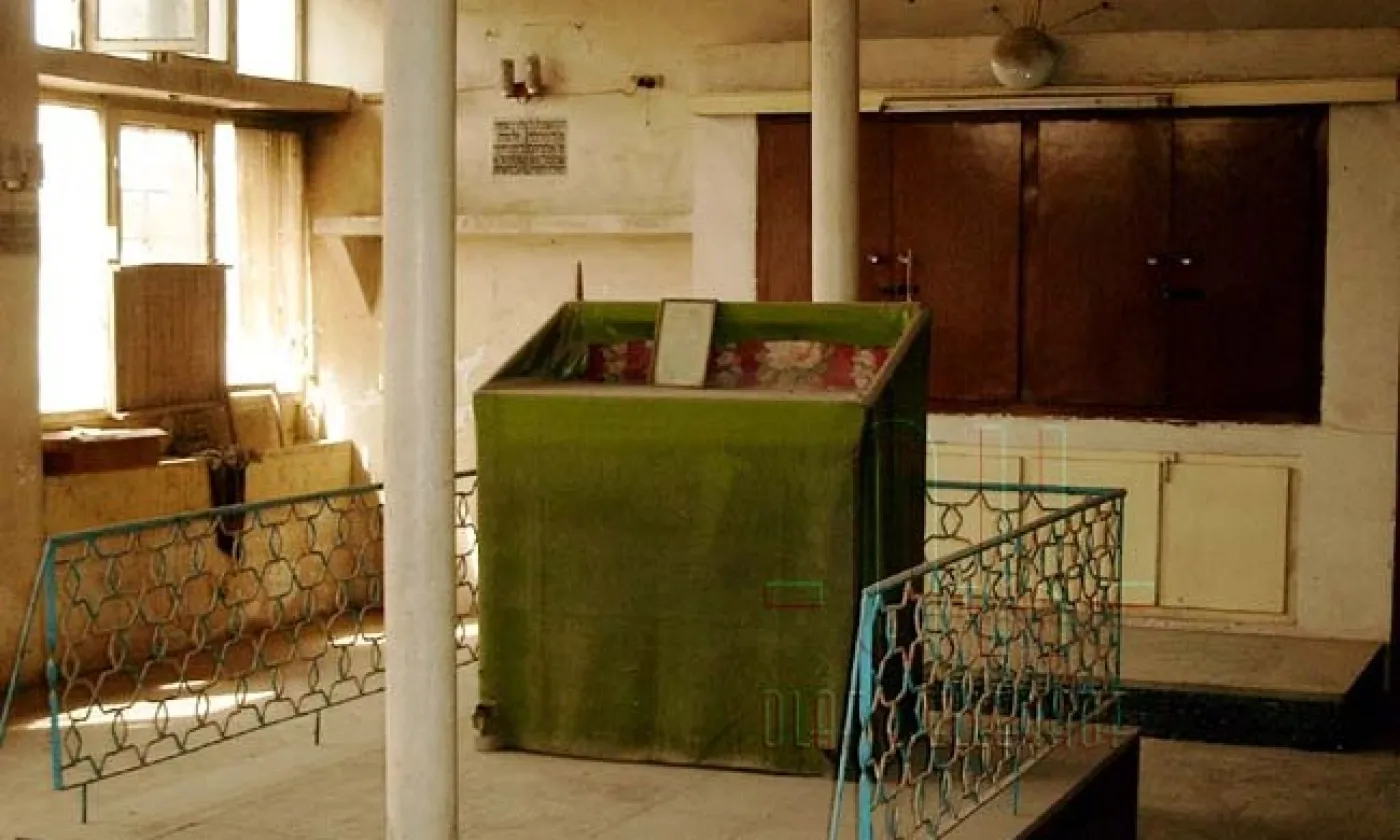 ©Flikr/CC BY-NC 2.0/Olaf Kellerhof