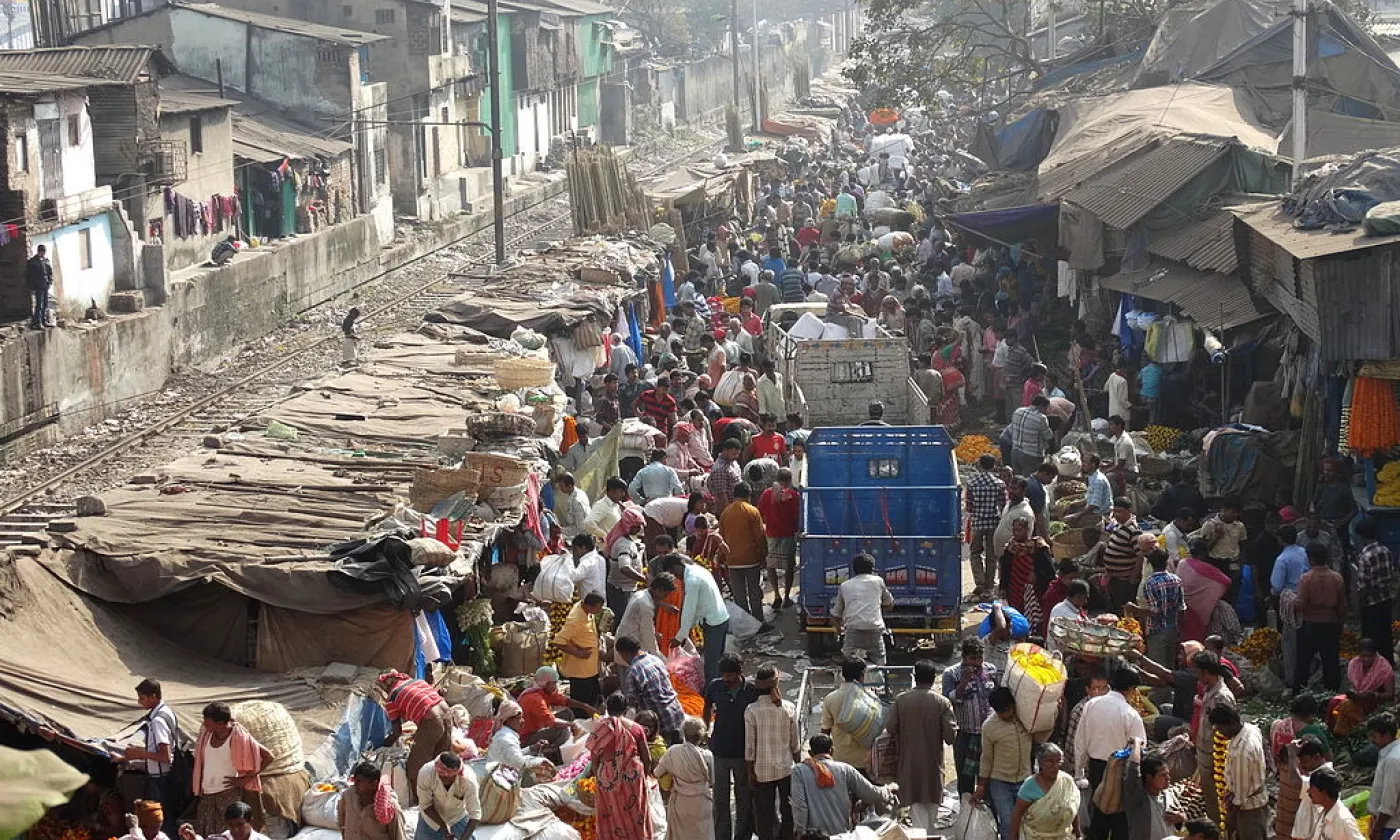 ©Adam Jones, CC BY-SA 2.0, Wikimedia Commons