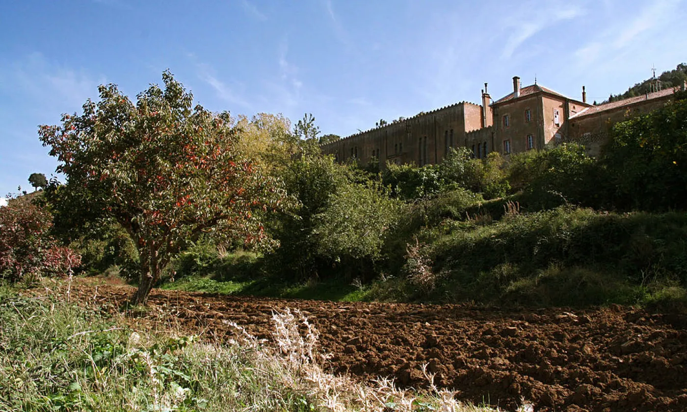 ©Ps2613, CC BY-SA 3.0 Wikimedia Commons