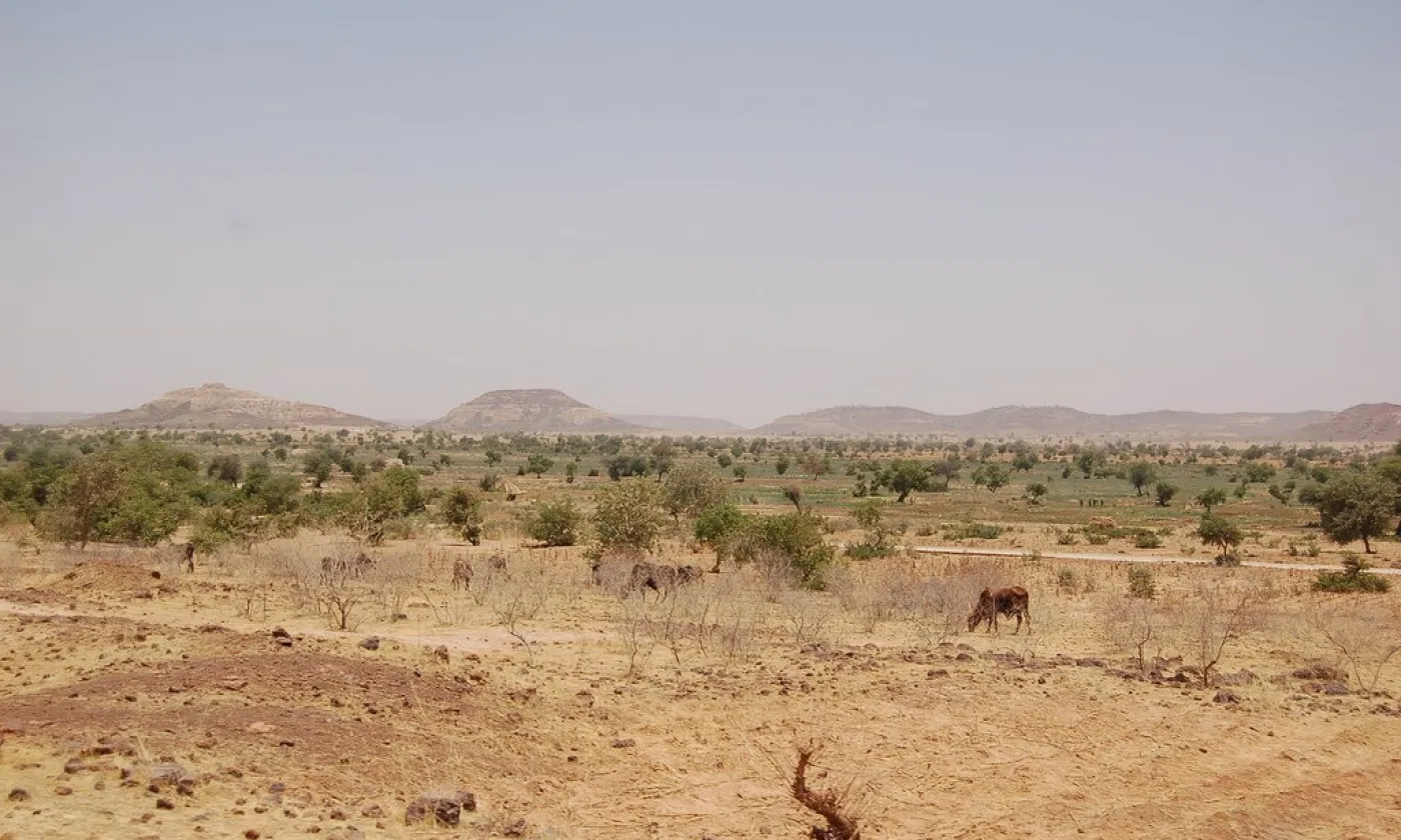 ©Wikimedia Commons/Roland Hunziker/CC BY-SA 2.0