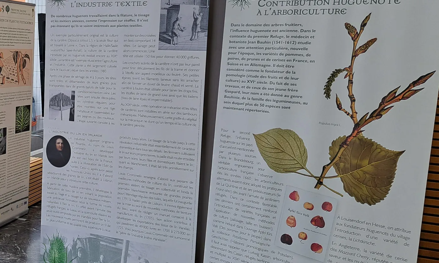 © Fédération française «Sur les pas des Huguenots et des Vaudois»