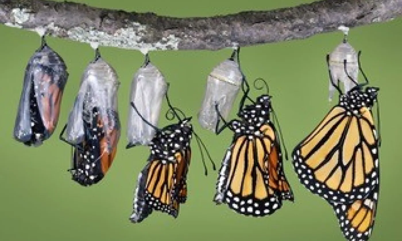 © Mathieu Bouvier. www.pourunatlasdesfigures.net