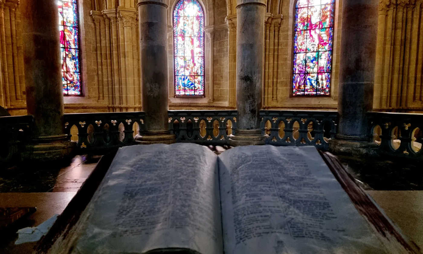 ©iStock/Rafael Wiedenmeier