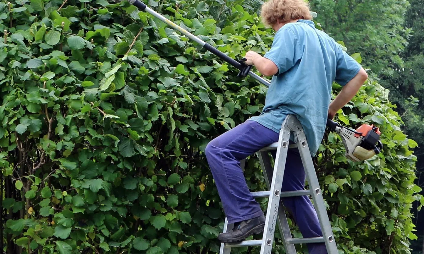 Quand l'Esprit façonne la nature