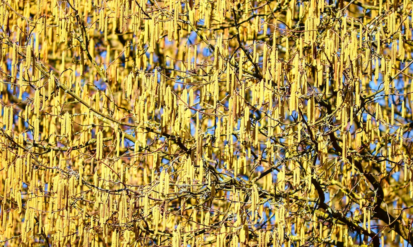 Bien davantage que nécessaire