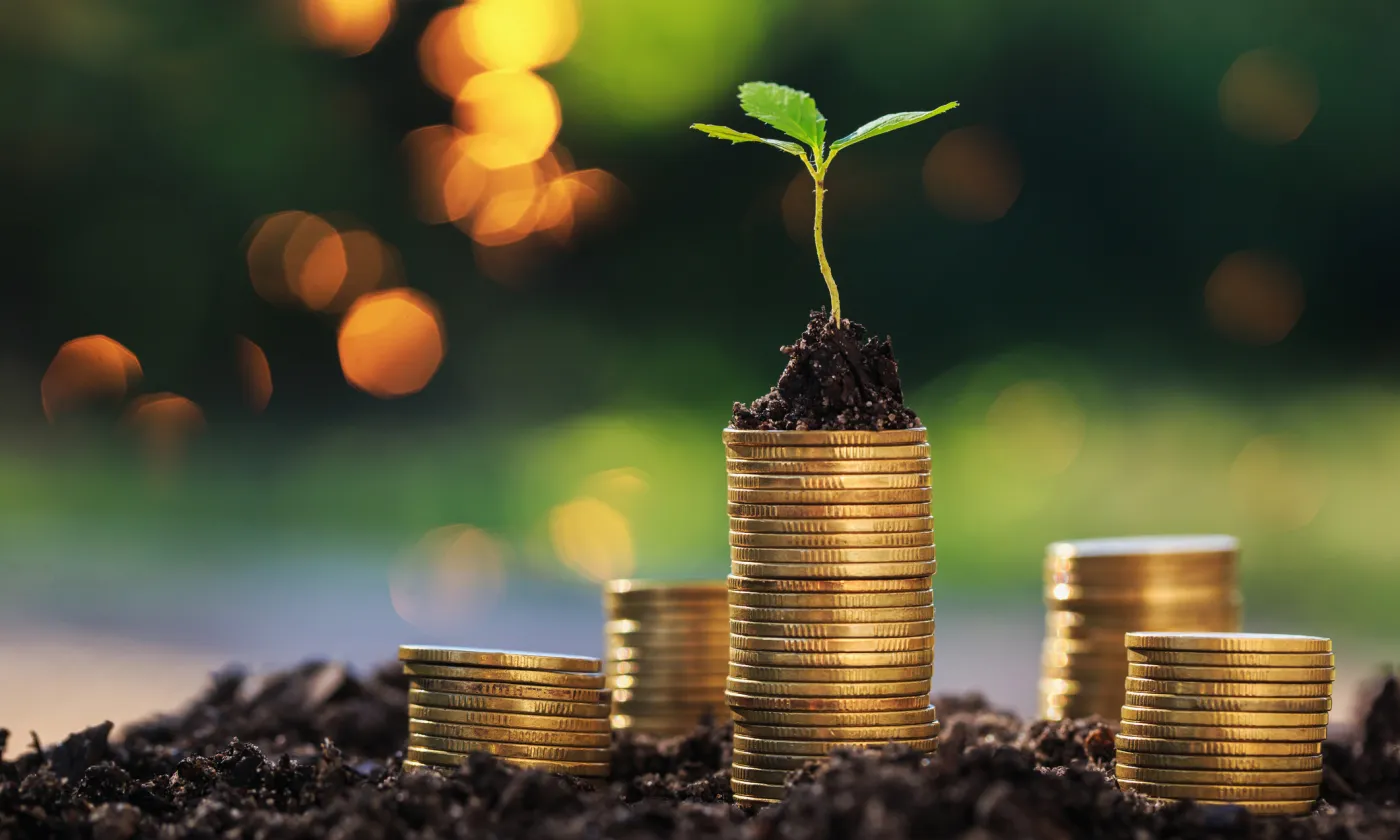 Photo iStock, Aekkasit Rakrodjit