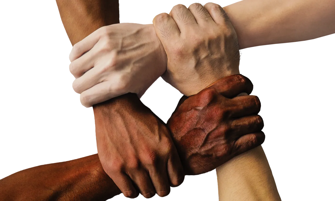 CC0 truthseeker08/Pixabay