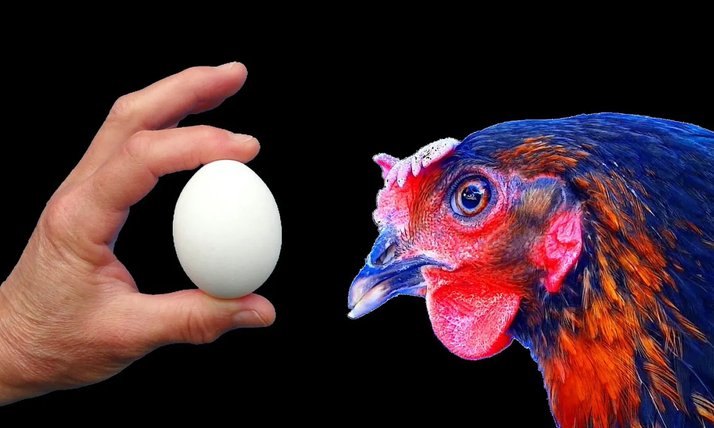 CC0 Papynoun / Pixabay