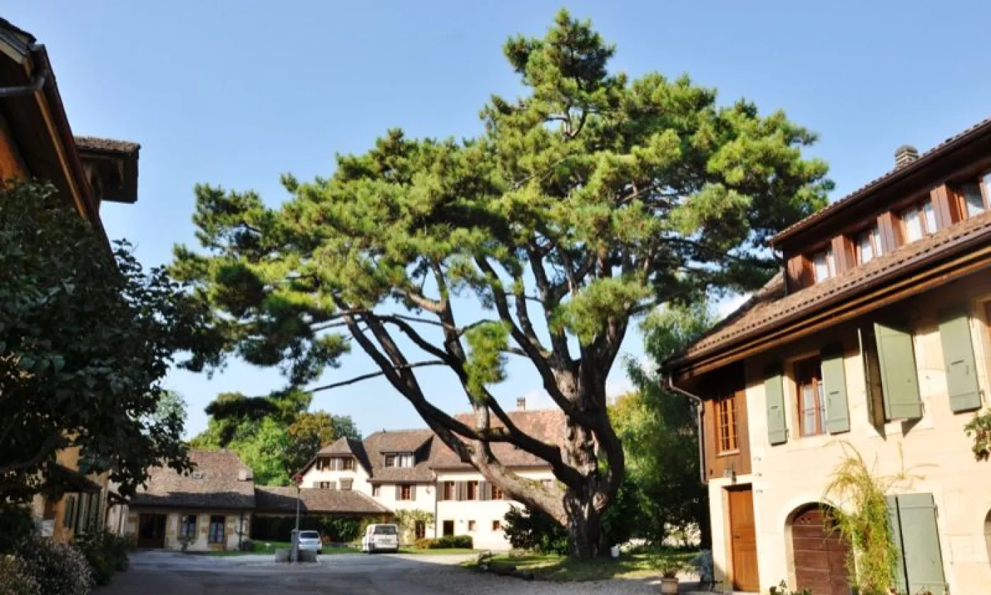 Communauté de Grandchamp (©Alexandra Urfer Jungen)