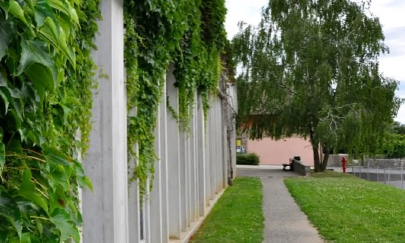 Alexandra Urfer Jungen