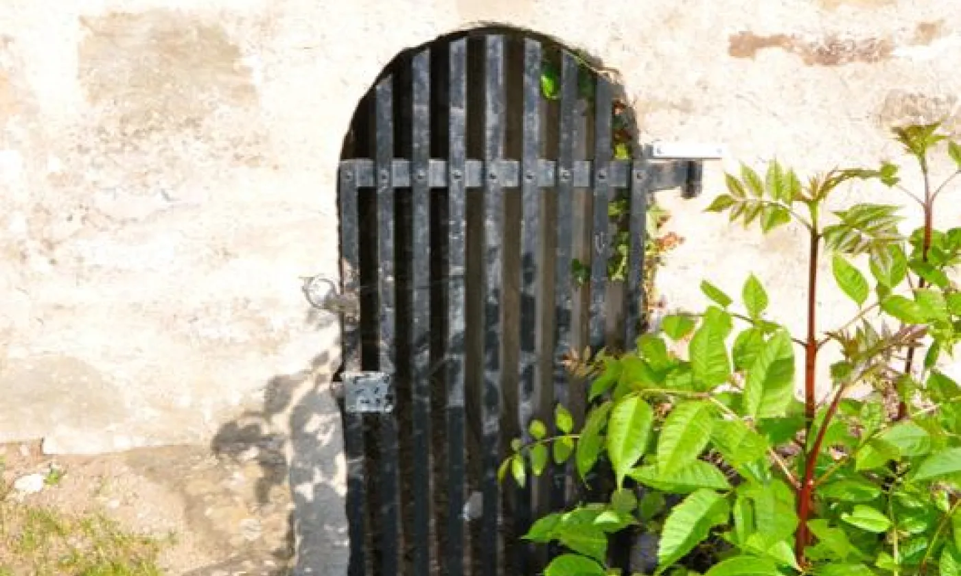 Alexandra Urfer Jungen