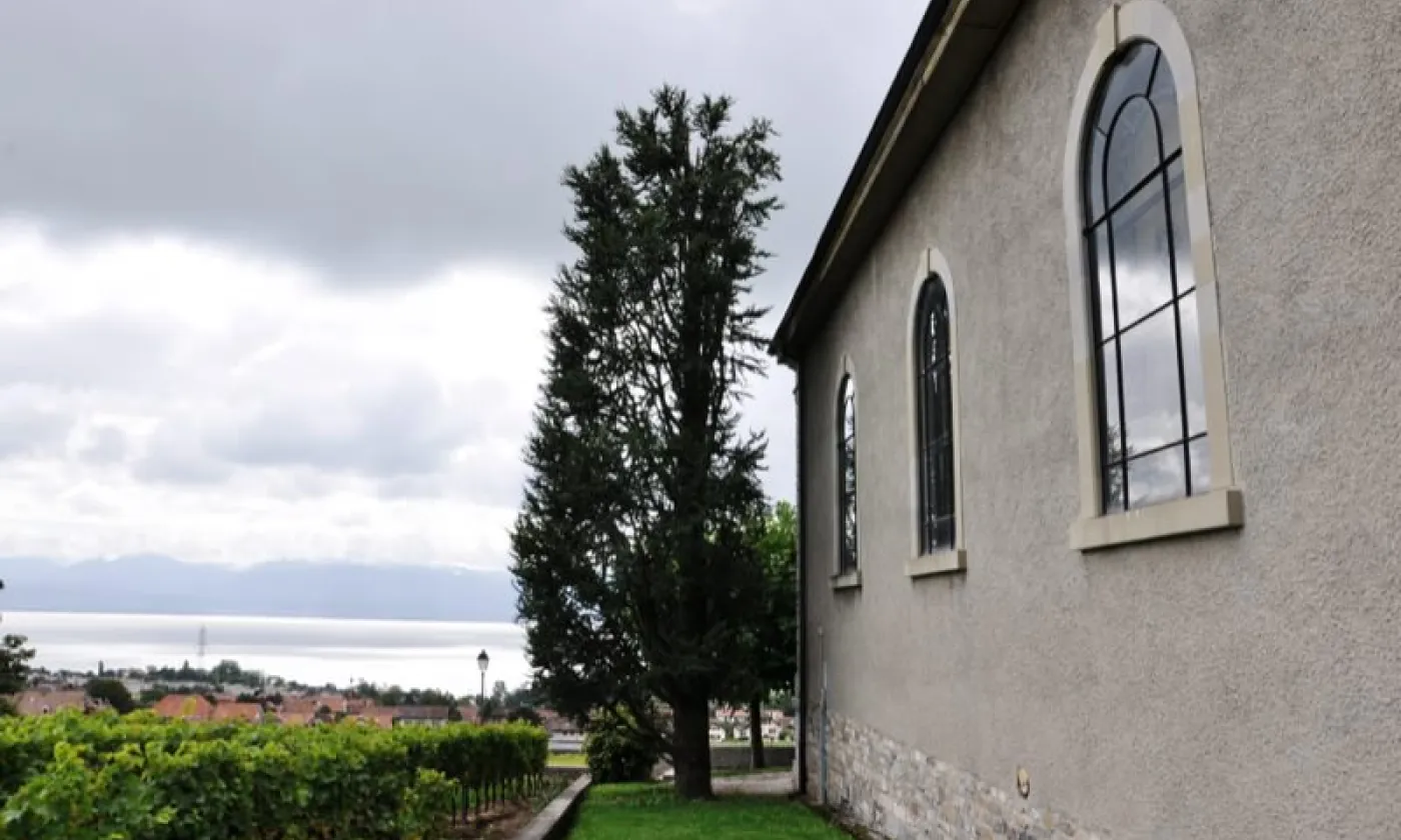 Alexandra Urfer Jungen