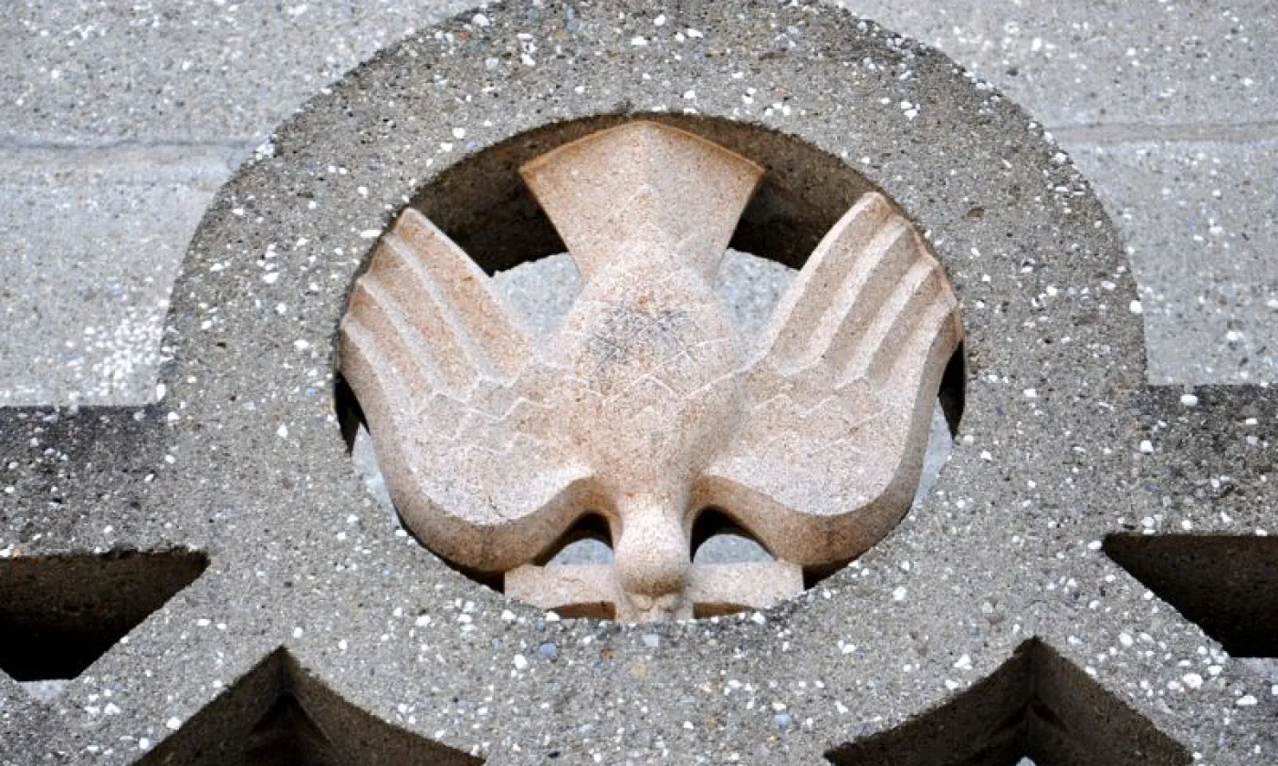 Alexandra Urfer Jungen