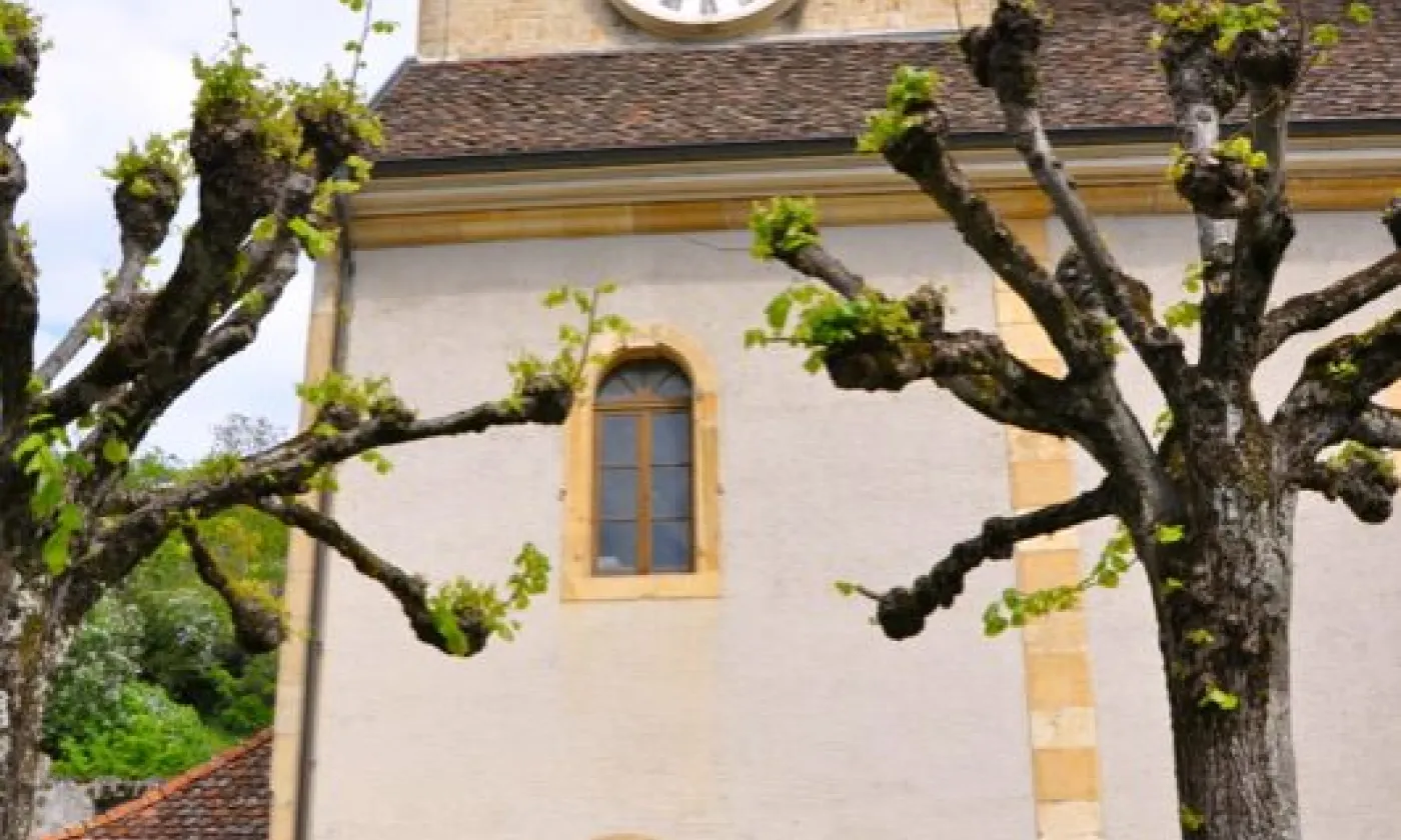 Alexandra Urfer Jungen