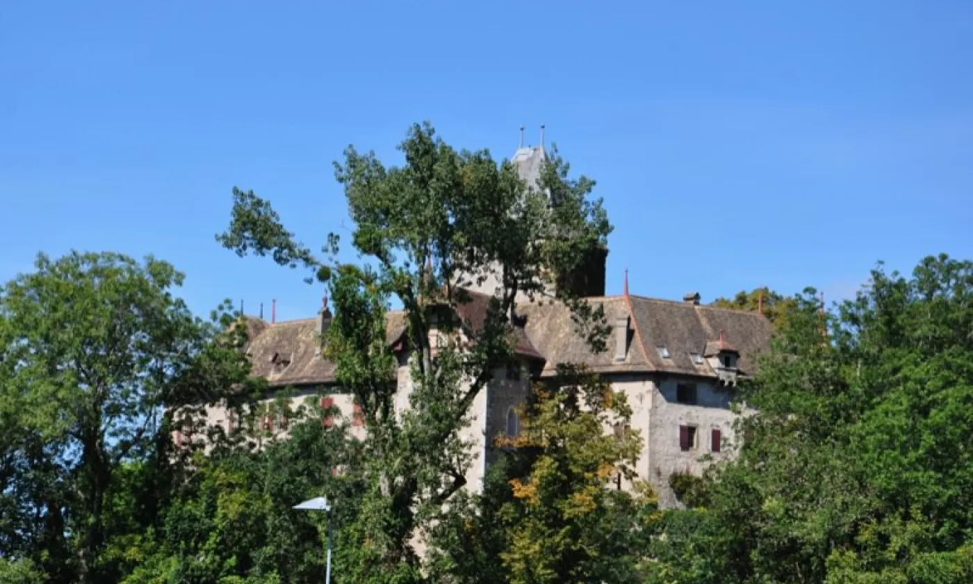 Alexandra Urfer Jungen