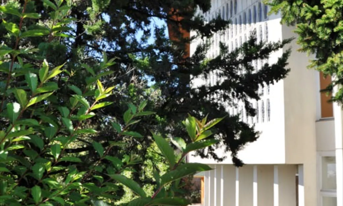 Alexandra Urfer Jungen