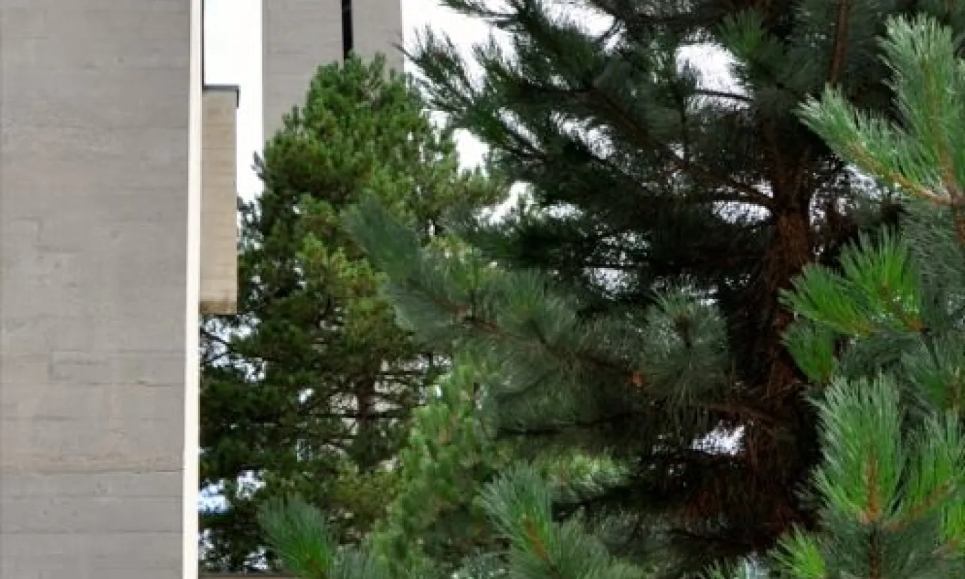 Alexandra Urfer Jungen