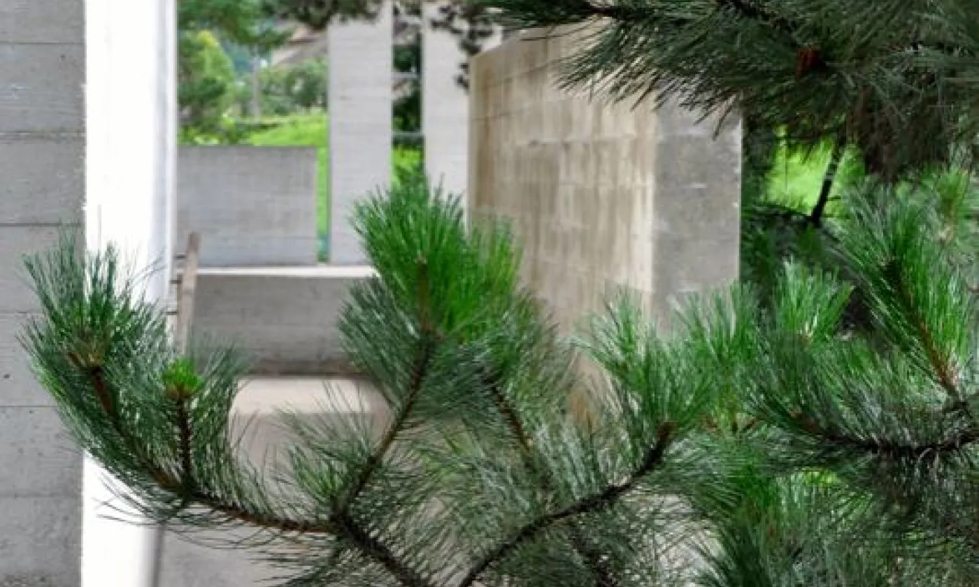 Alexandra Urfer Jungen