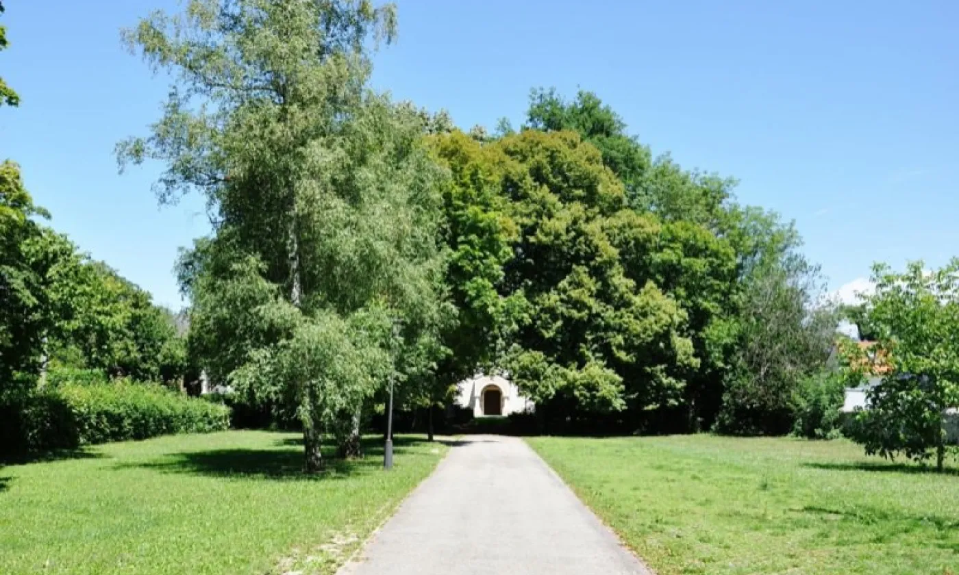 Alexandra Urfer Jungen